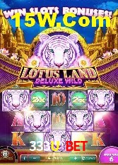 Programa VIP 333U Bet